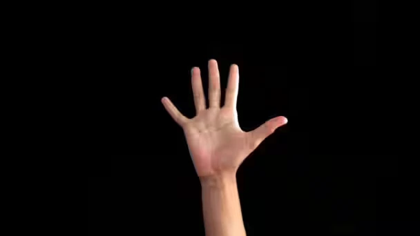 Things That are 6 Inches Long