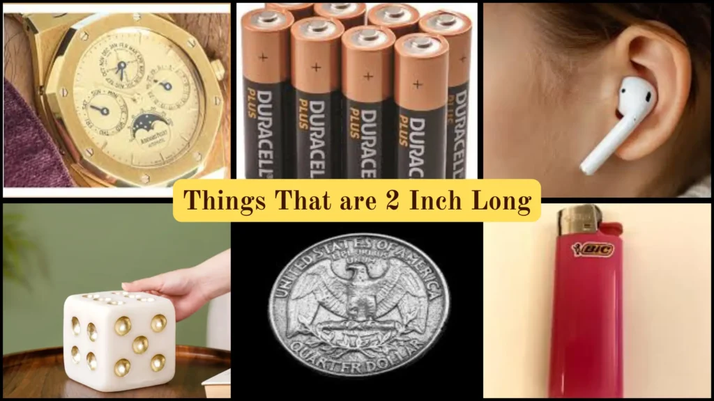 Things That are 2 Inches Long