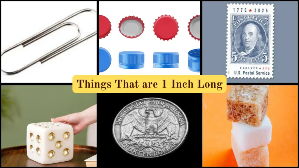 Things That are 1 Inch Long