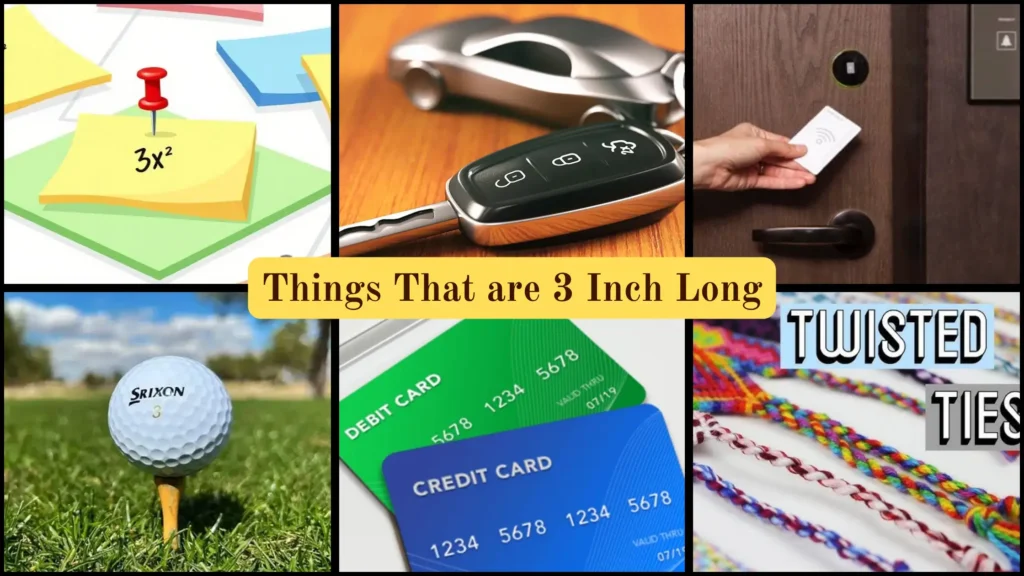 Things That are 3 Inches Long