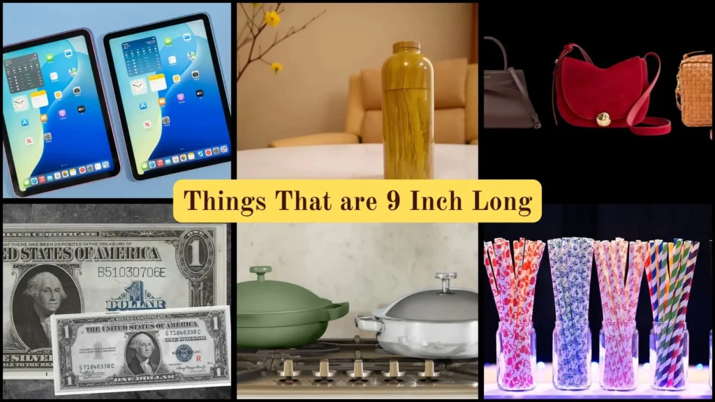 Things That are 9 Inches Long