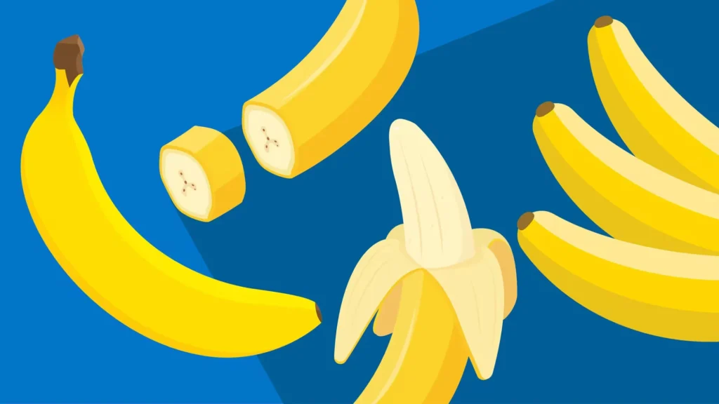 Things That are 6 Inches Long