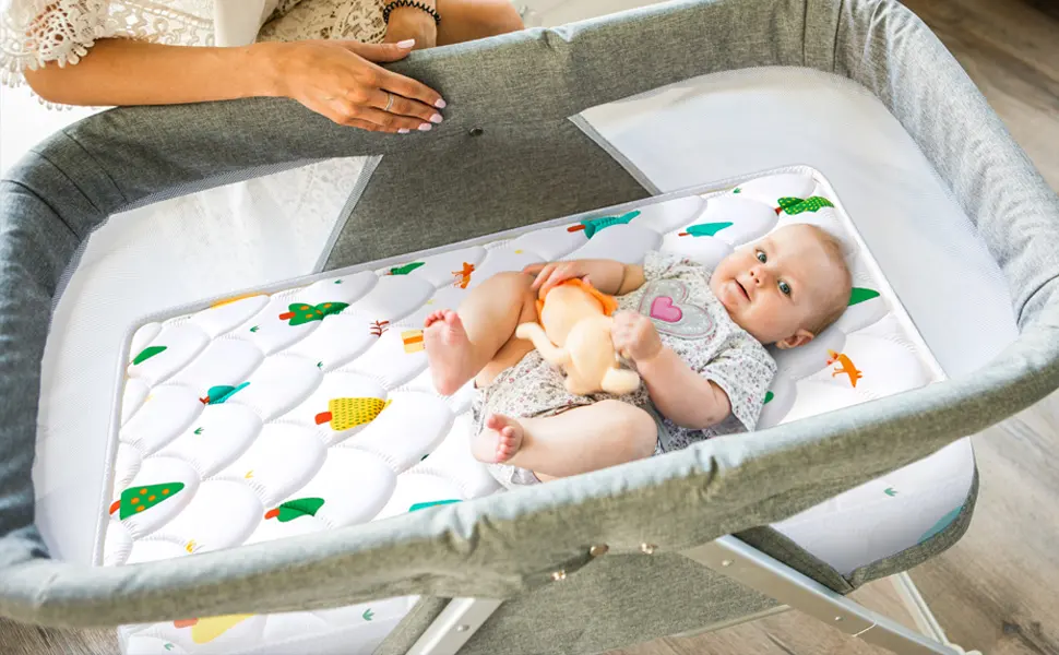 Things That are 19 Inches Long