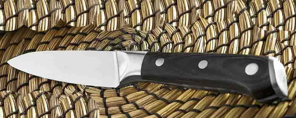 Things That are 6.5 Inches Long