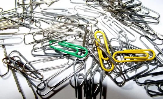 Things That are 1 Centimeter Long