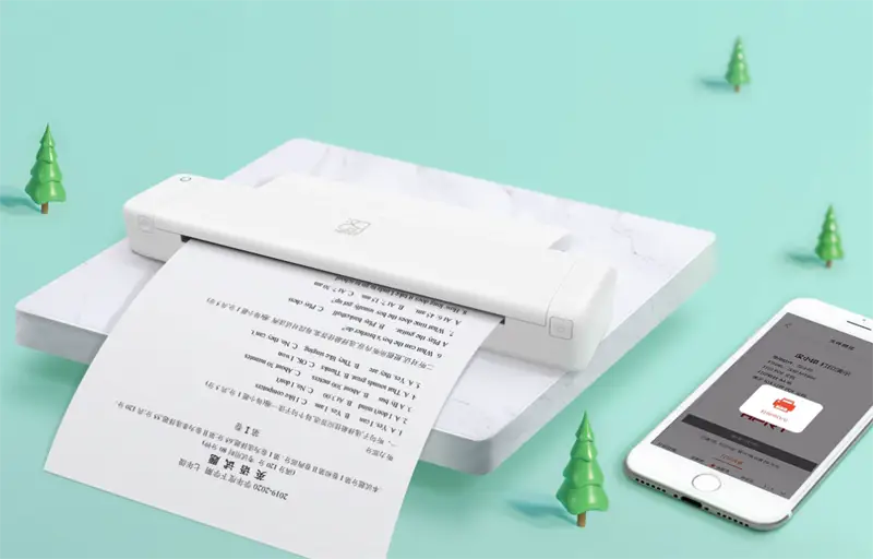 Things That are 11 Inches Long