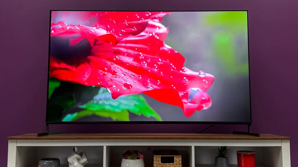 Things That are 19 Inches Long