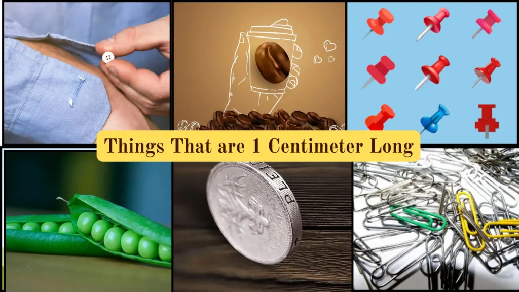 Things That are 1 Centimeter Long
