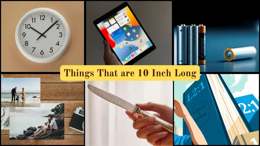 Things That are 10 Inches Long