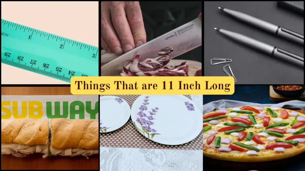 Things That are 11 Inches Long