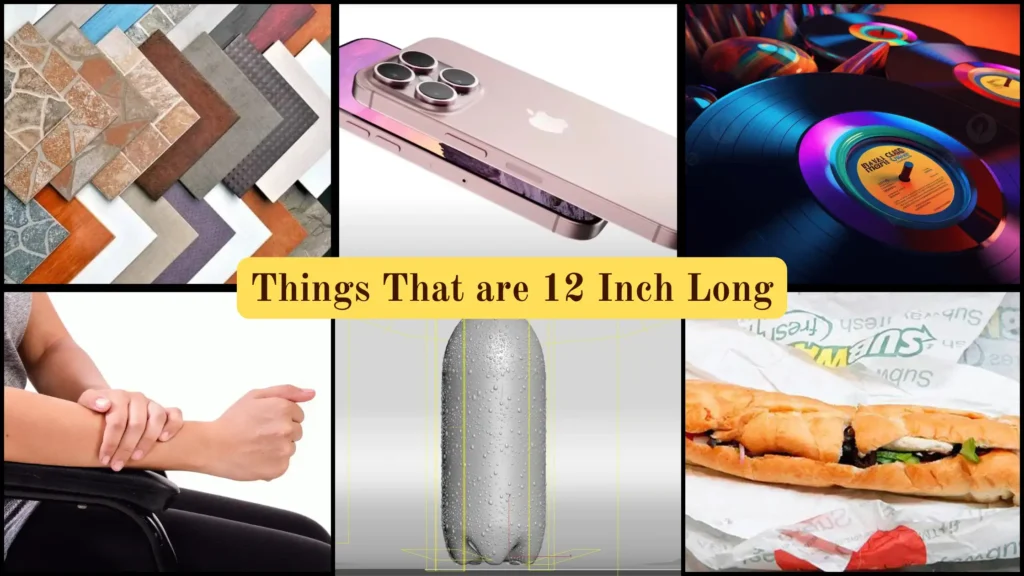 Things That are 12 Inches Long