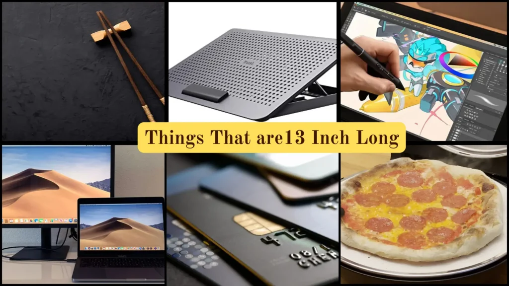Things That are 13 Inches Long