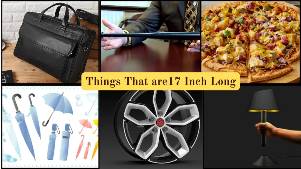 Things That are 17 Inches Long