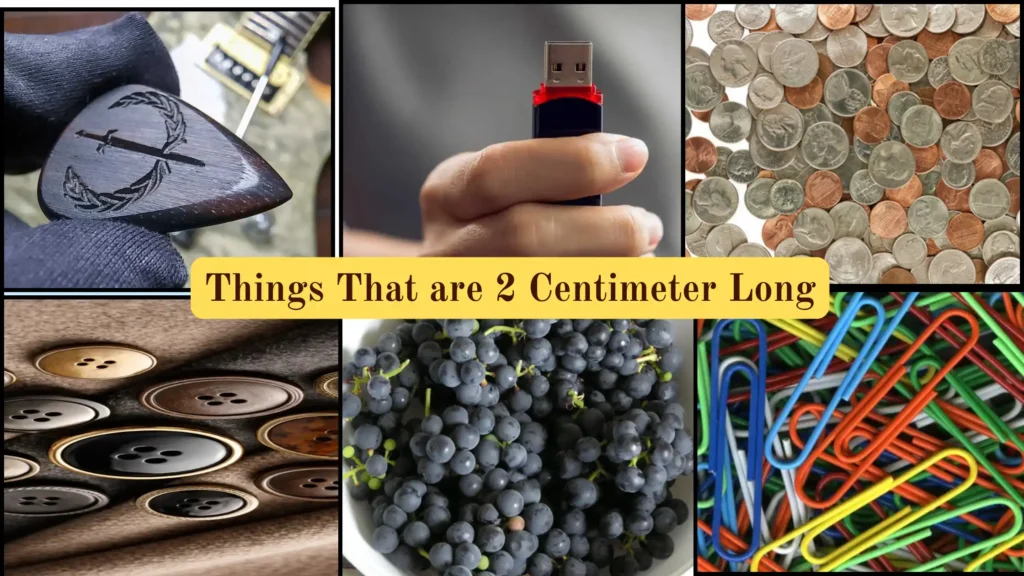 Things That are 2 Centimeters Long