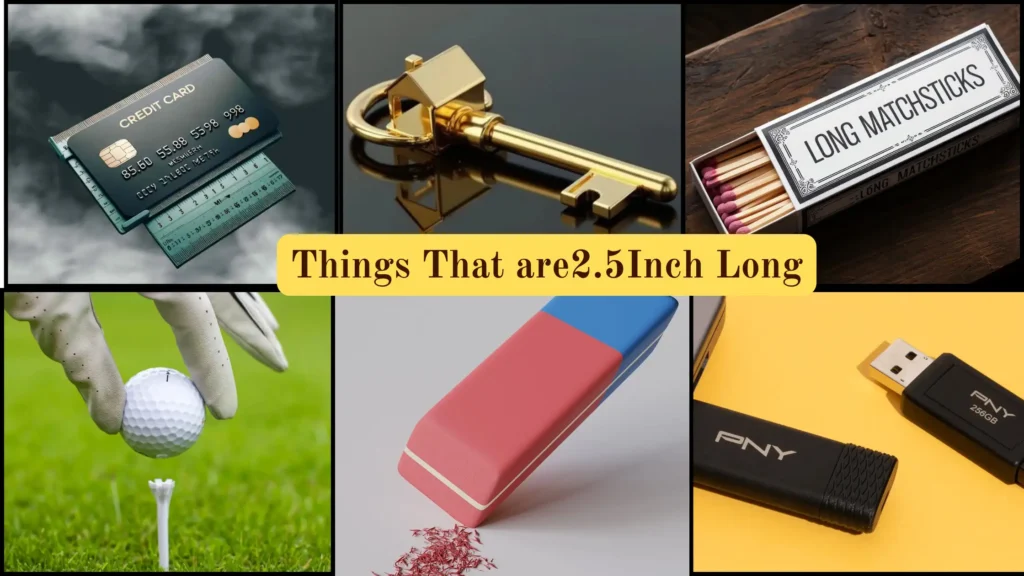 Things That are 2.5 Inches Long