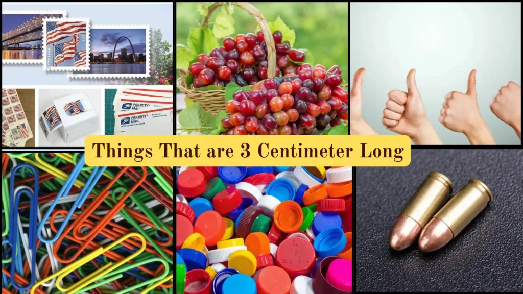Things That are 3 Centimeters Long