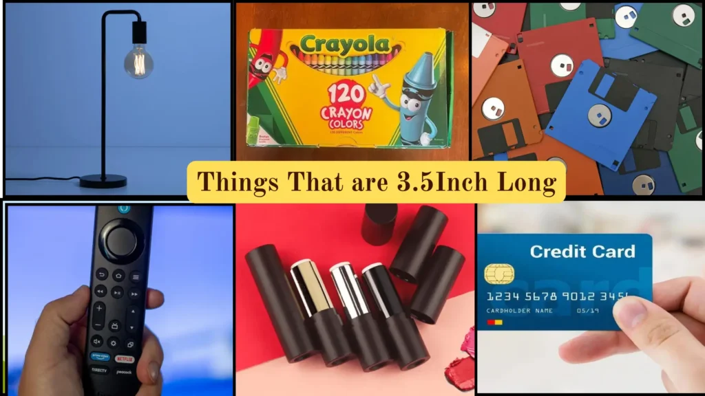 Things That are 3.5 Inches Long