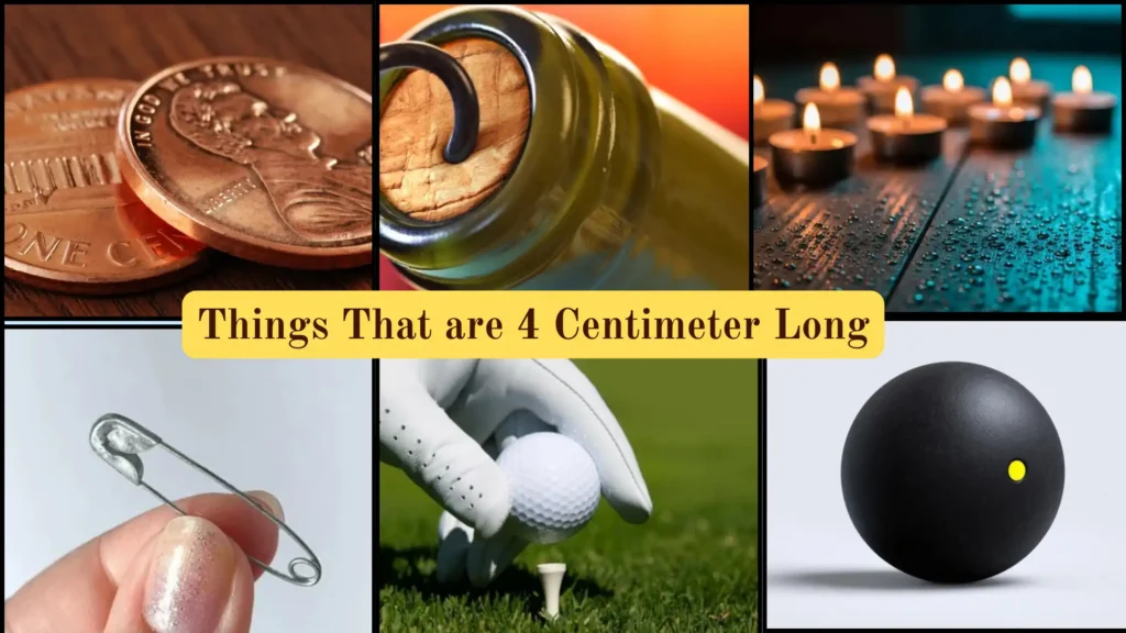 Things That are 4 Centimeters Long