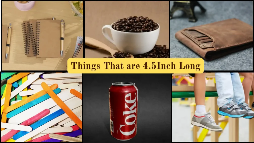 Things That are 4.5 Inches Long