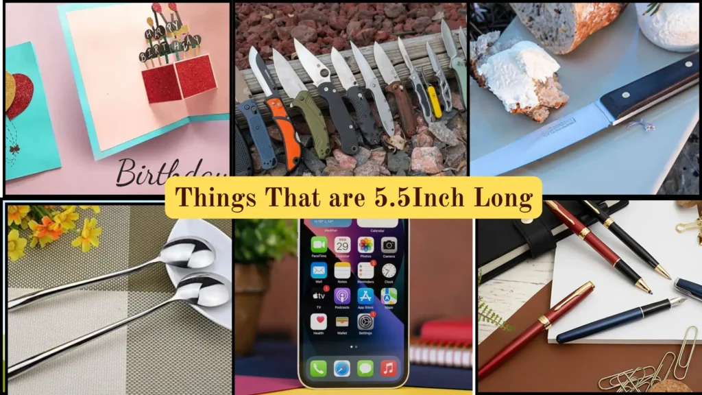Things That are 5.5 Inches Long