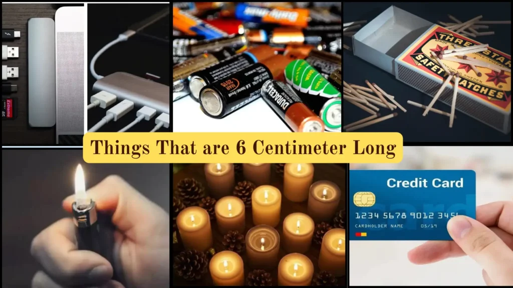 Things That are 6 Centimeters Long