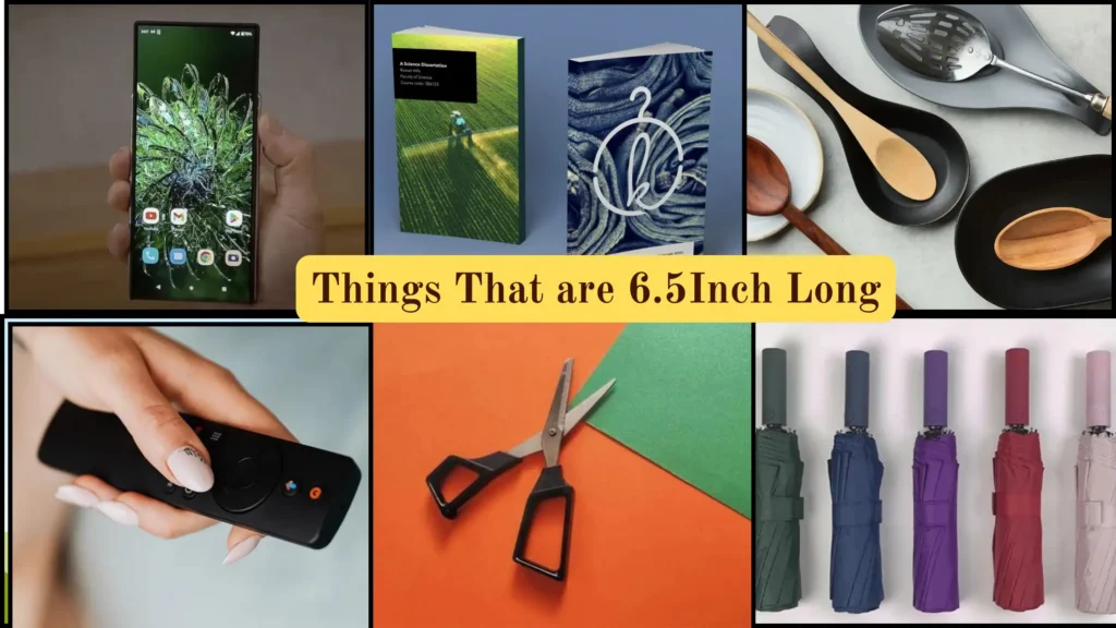Things That are 6.5 Inches Long
