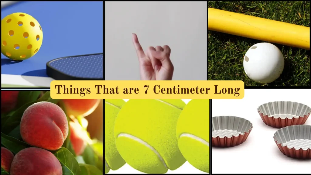  Things That are 7 Centimeter Long