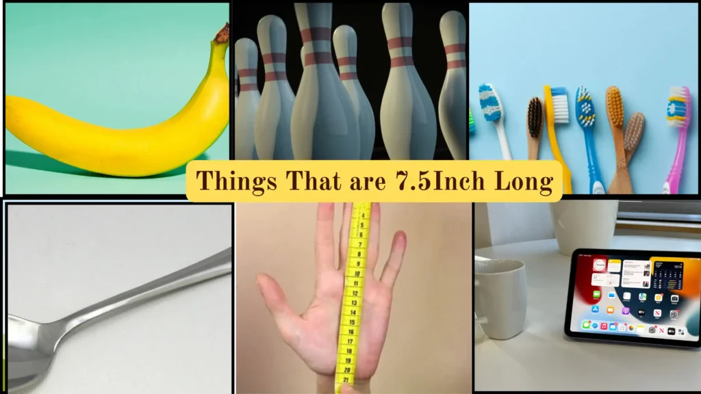 Things That are 7.5 Inches Long