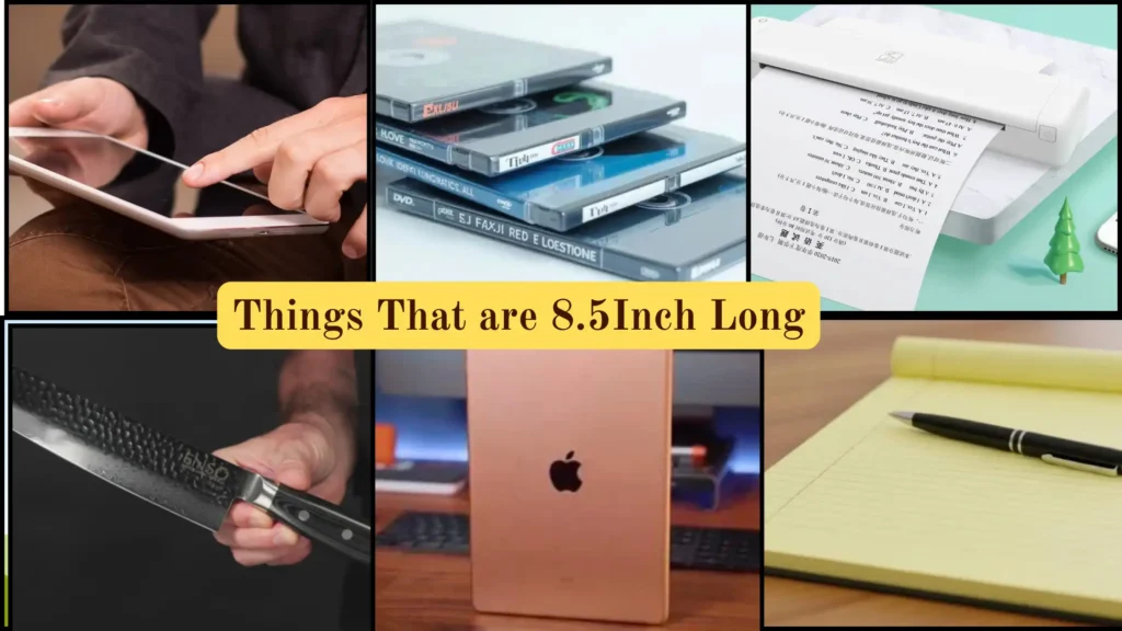 Things That are 8.5 Inches Long