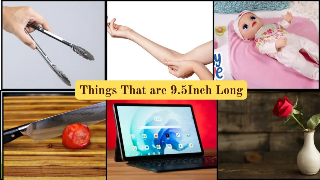 Things That are 9.5 Inches Long