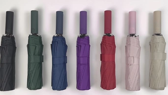 Things That are 6.5 Inches Long