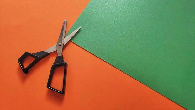 Things That are 6.5 Inches Long