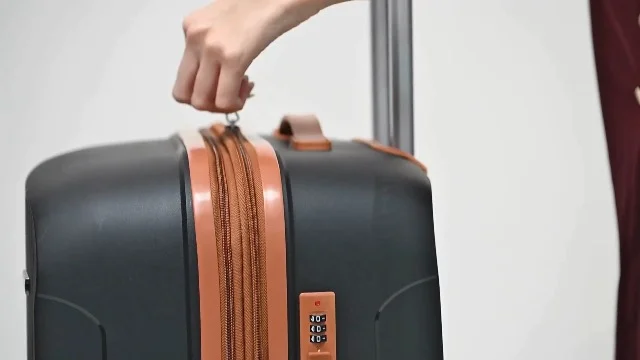 Things That Weigh 7 Kilograms