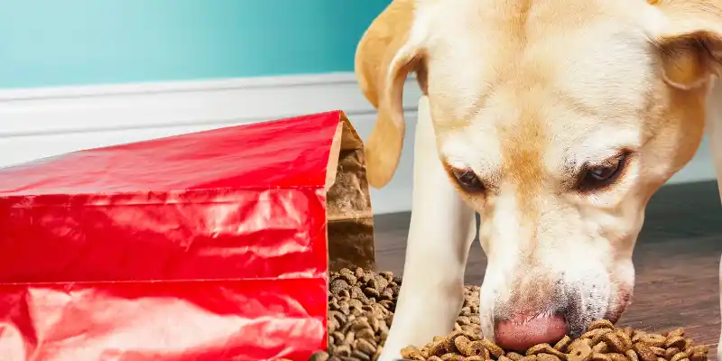 Things That Weigh 7 Kilograms