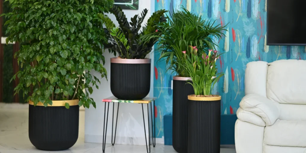 Things That Weigh 8 Kilograms