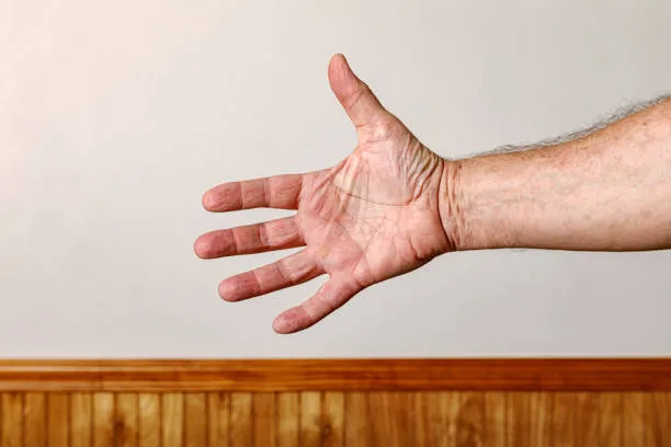 Things That are 10 Centimeters Long