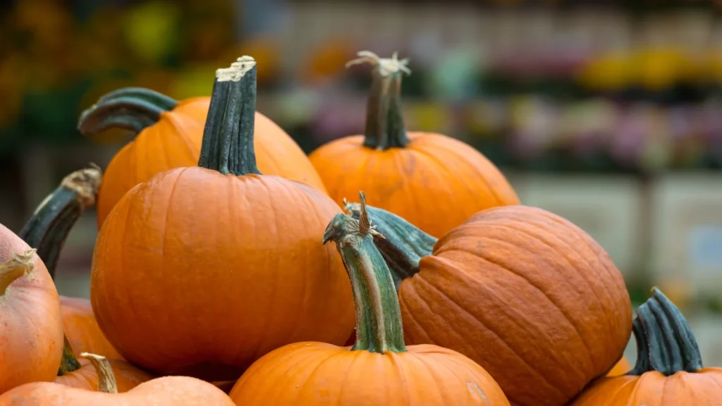 Things That Weigh 1 Kilogram