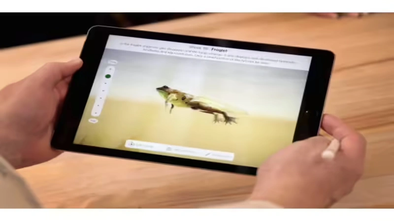 Things That Weigh 1 Kilogram