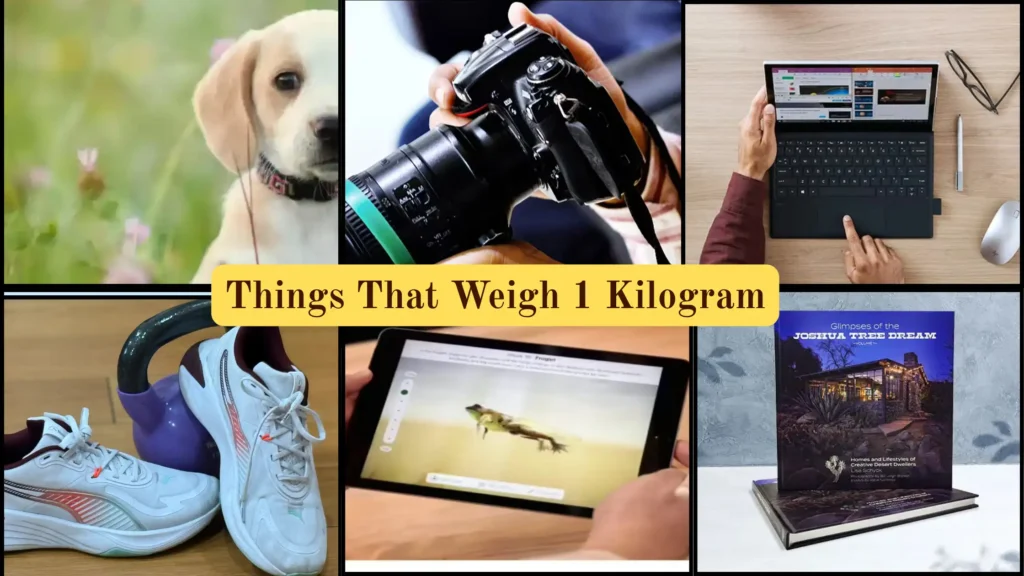 Things That Weigh 1 Kilogram