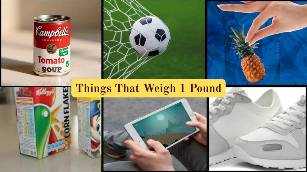 Things That Weigh 1 Pound