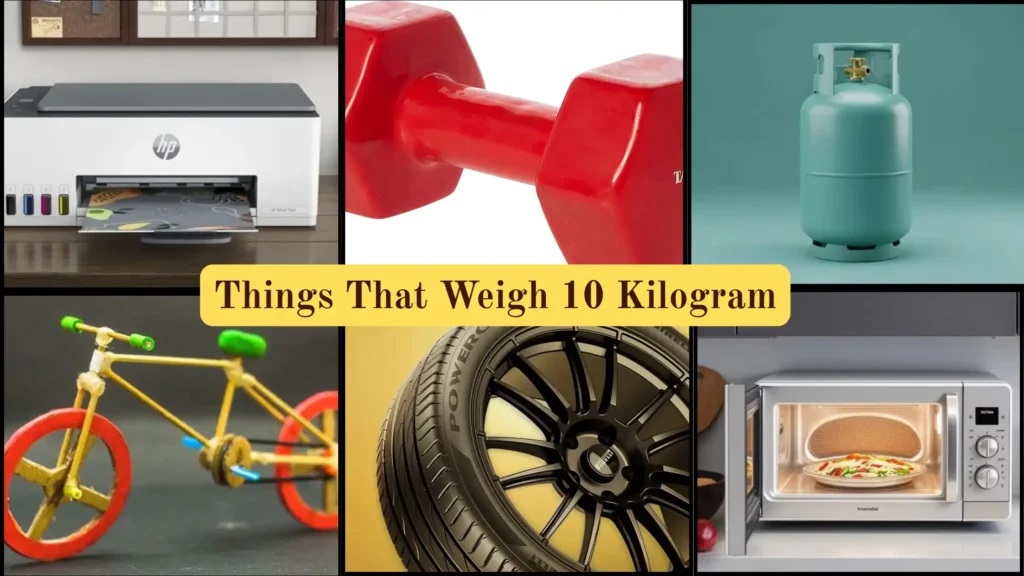 Things That Weigh 10 Kilograms