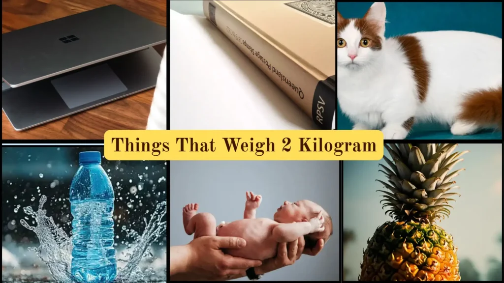 Things That Weigh 2 Kilograms