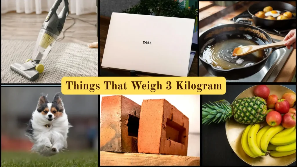 Things That Weigh 3 Kilograms