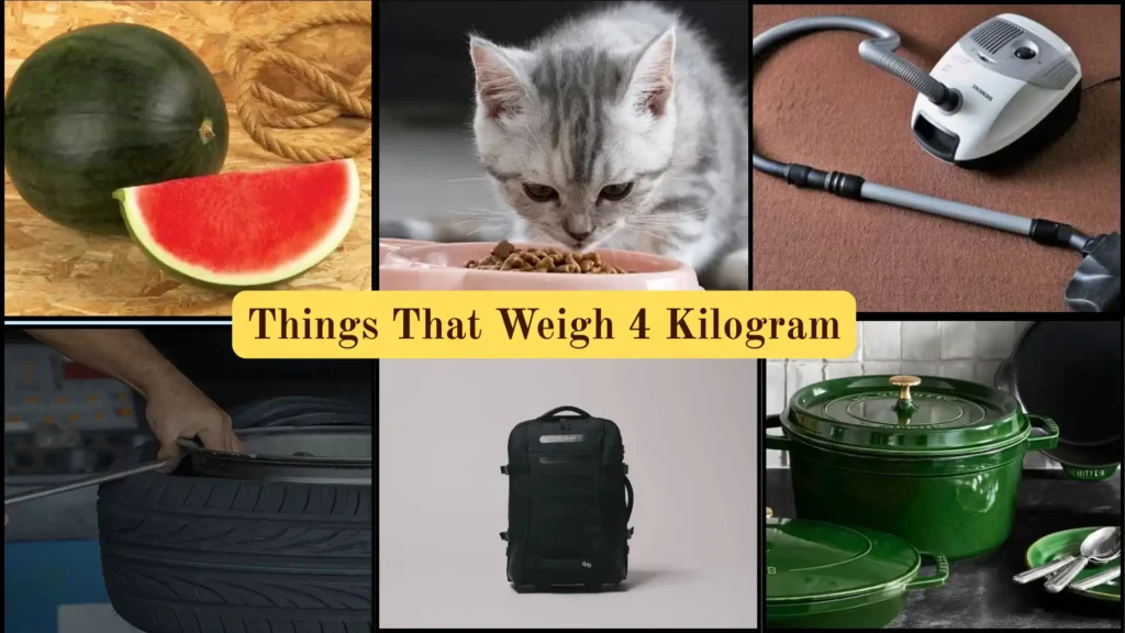Things That Weigh 4 Kilograms