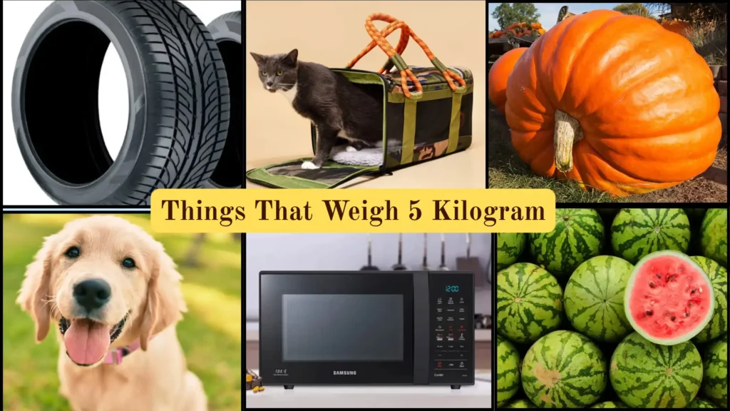 Things That Weigh 5 Kilograms