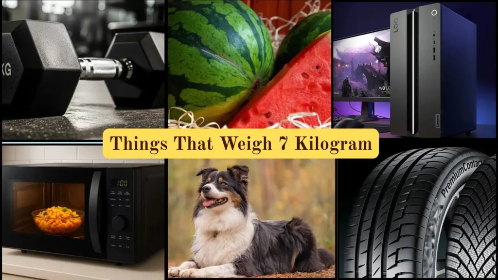 Things That Weigh 7 Kilograms