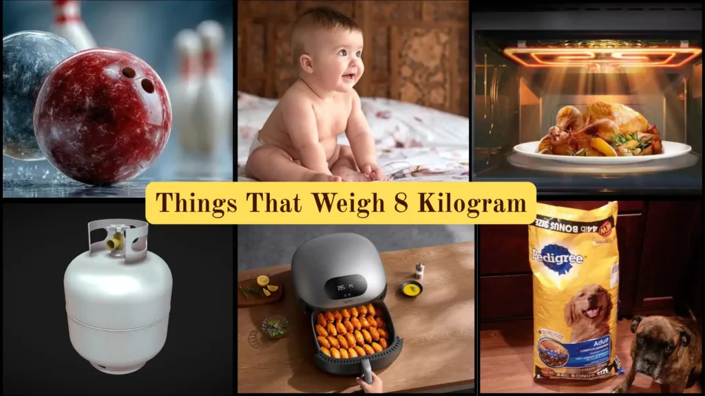 Things That Weigh 8 Kilograms