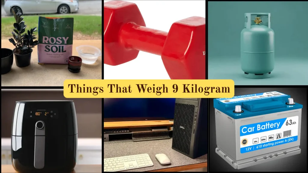 Things That Weigh 9 Kilograms