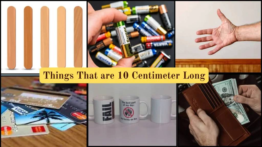 Things That are 10 Centimeters Long