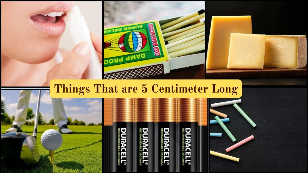 Things That are 5 Centimeters Long